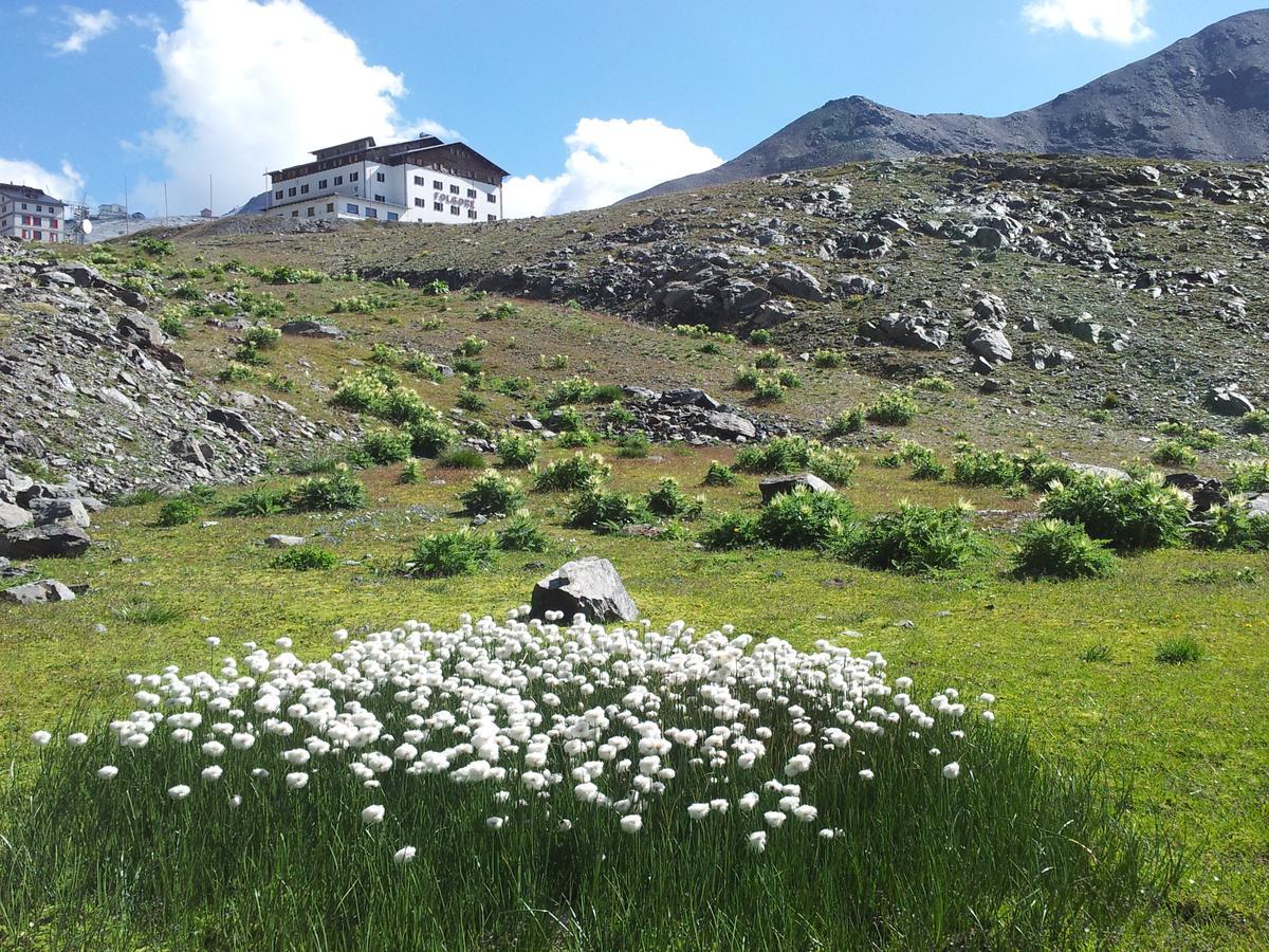 Hotel Folgore Passo Stelvio Eksteriør billede
